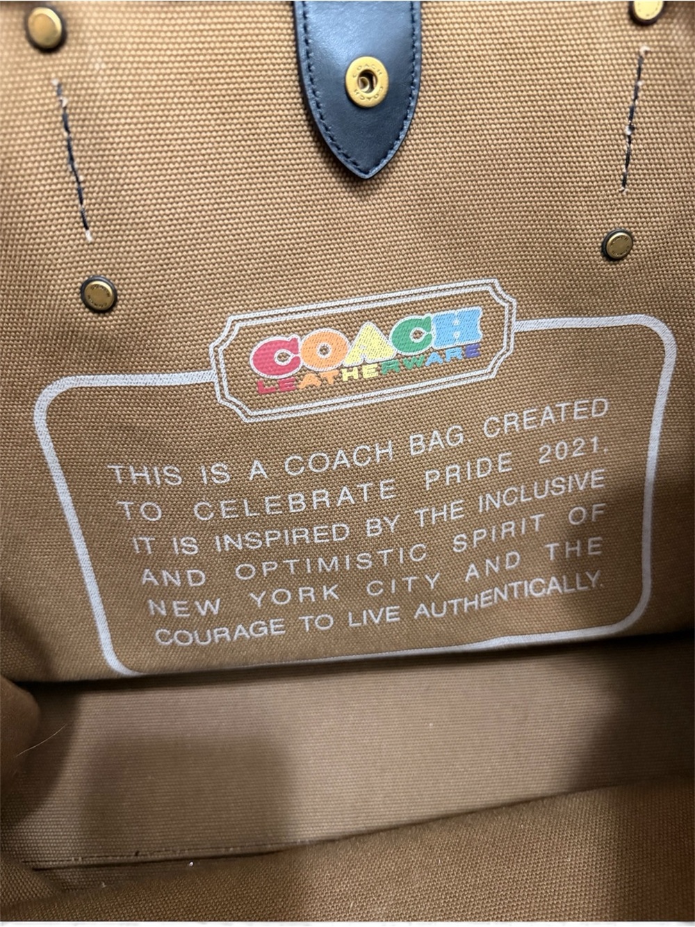 COACH Tote 42 With Rainbow Signature Rexy - Picture 8 of 11